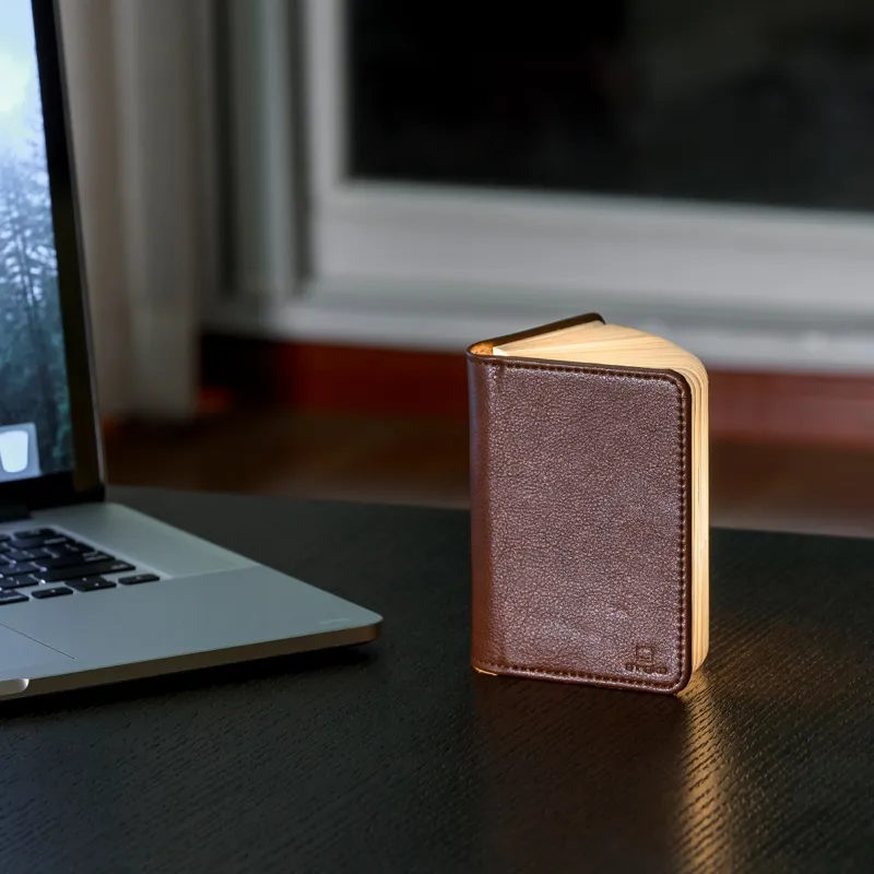 Gingko Mini Smart Book Light in Brown Leather-1